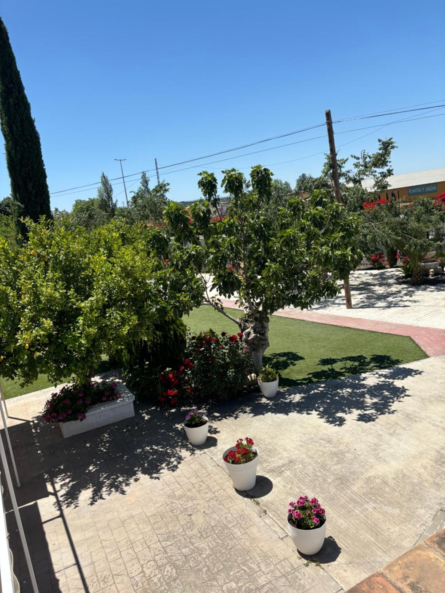 Finca Mi Alma Ogijares Bagian luar foto